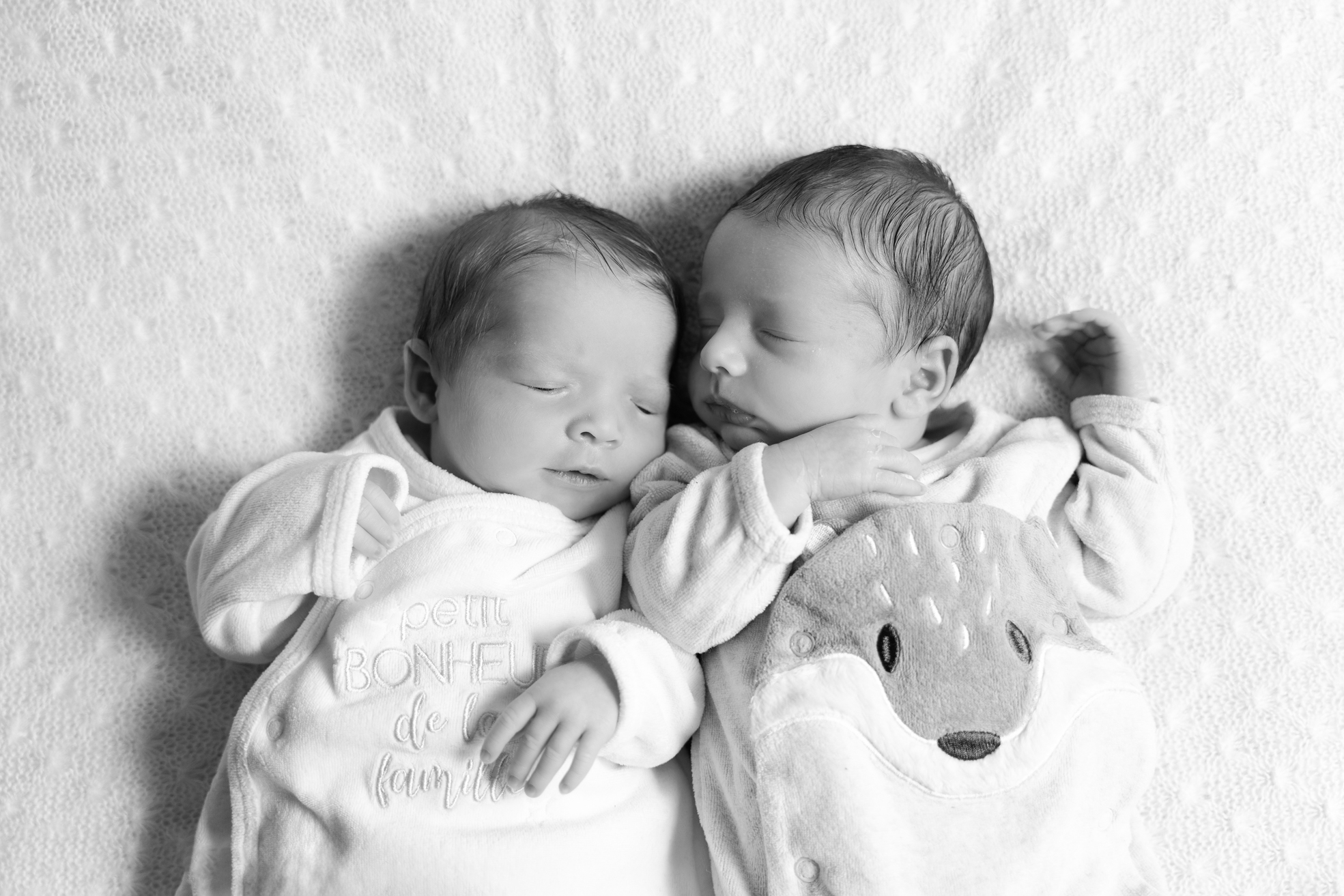 Jumeaux posant ensemble lors d’une séance photo naissance en studio à Bressuire.